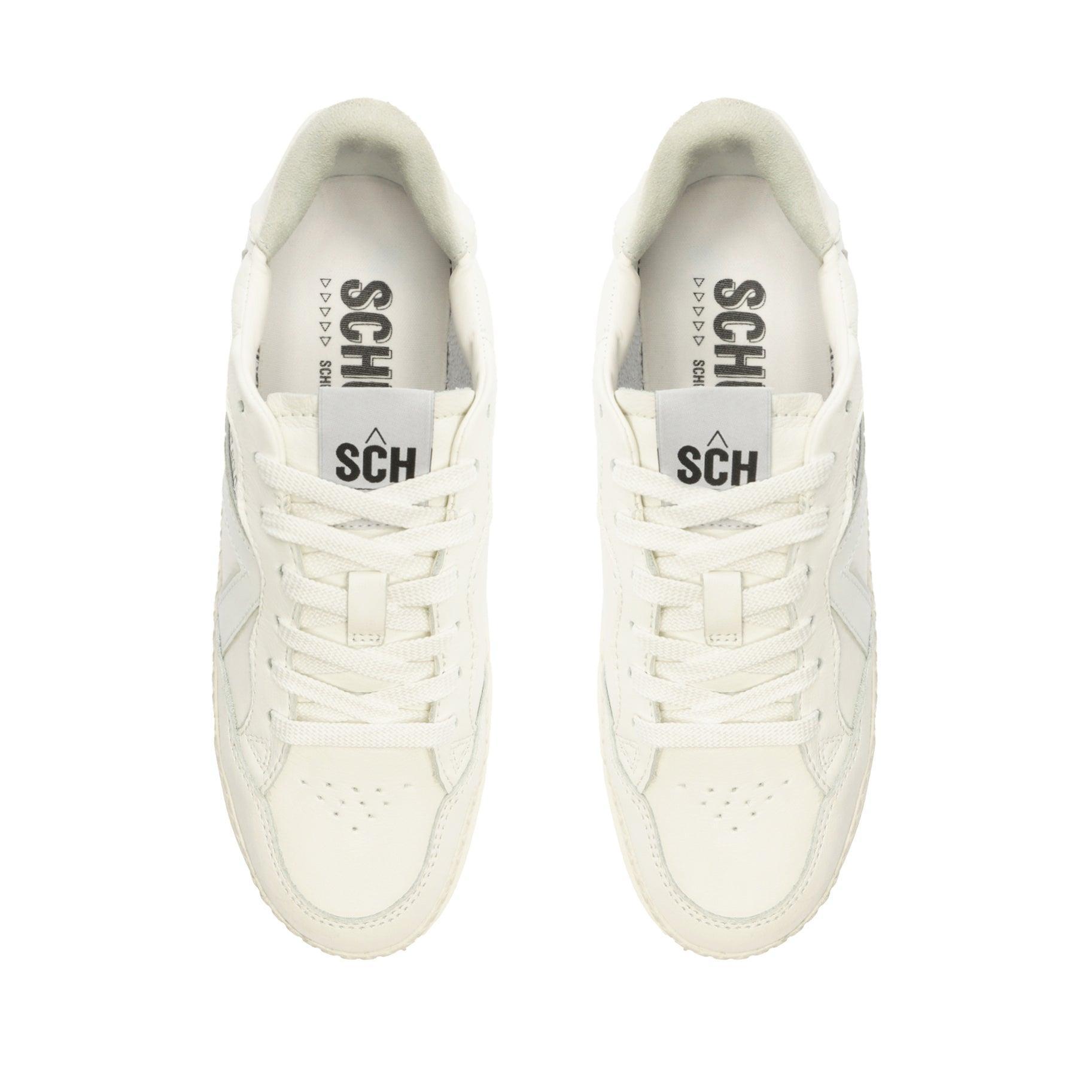 ST-BOLD Leather Sneaker Product Image