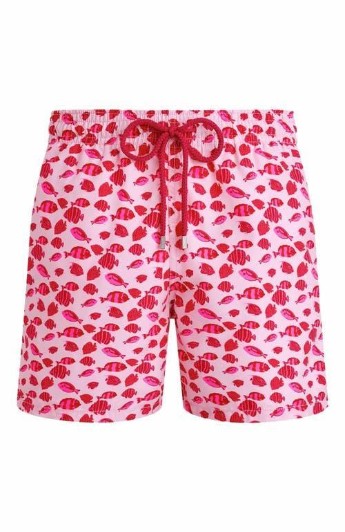 Mens Fish-Print Swim Shorts Product Image