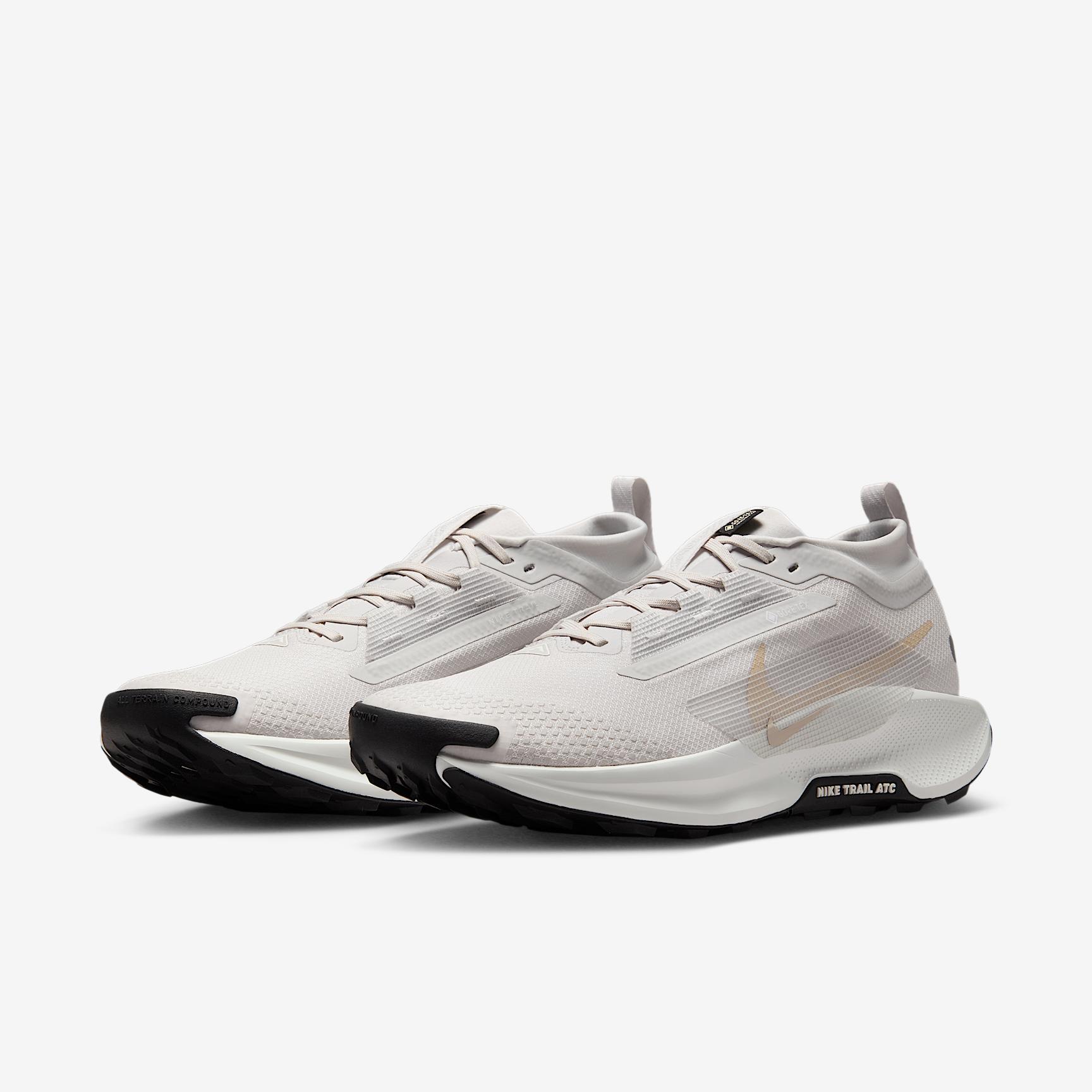 Nike Men's Pegasus Trail 5 GORE-TEX Waterproof Trail Running Shoes Product Image
