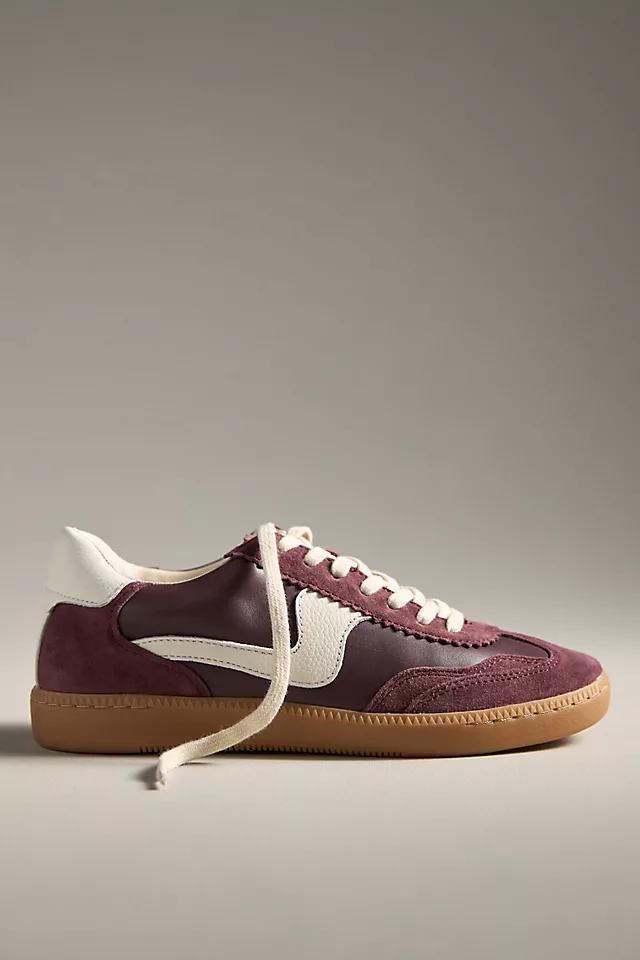 Dolce Vita Notice Sneakers Product Image