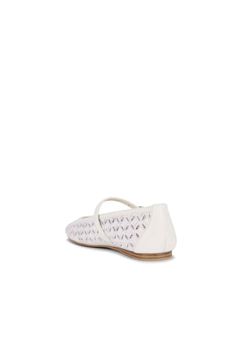 Rodni Eyelet Flat Dolce Vita Product Image