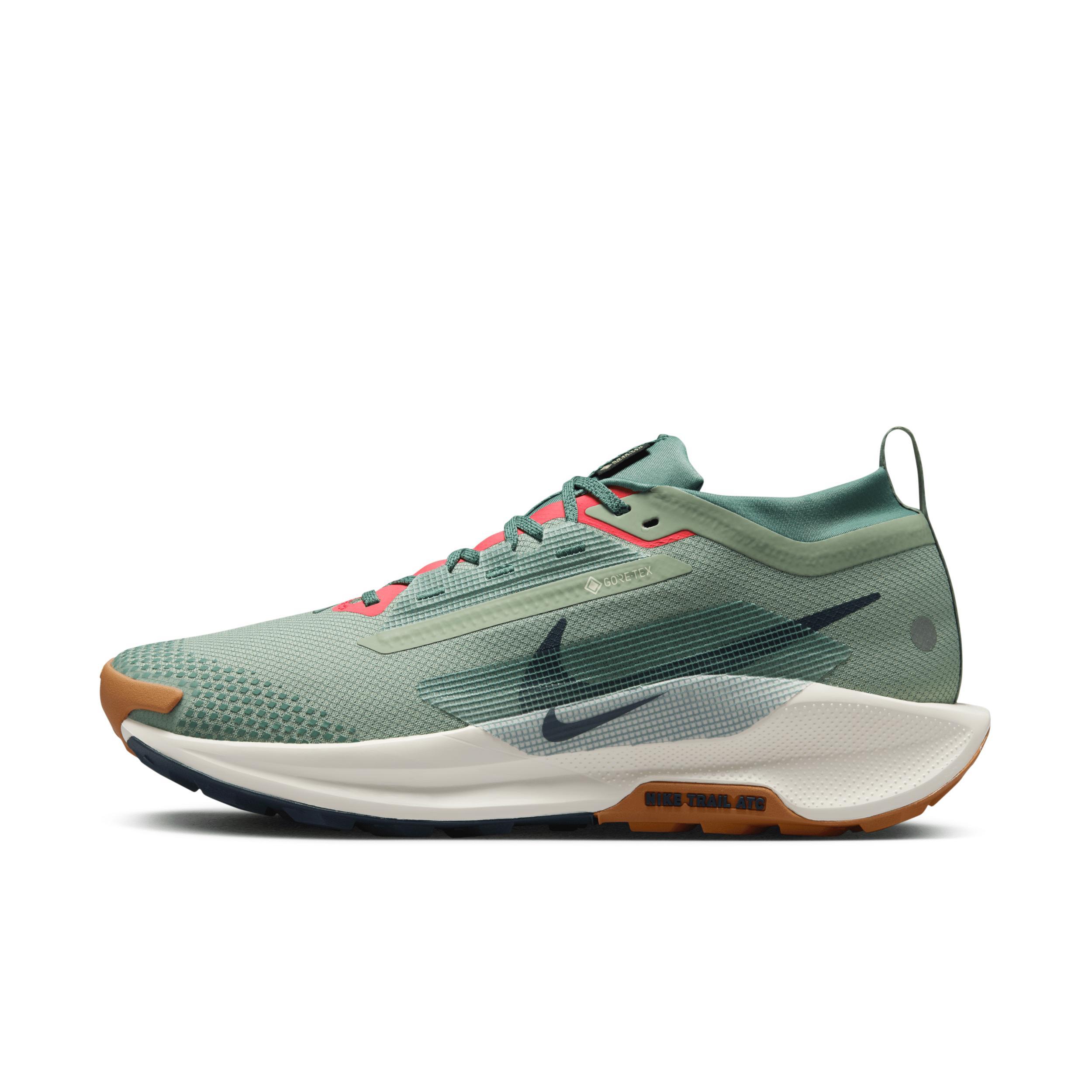 Nike Mens Pegasus Trail 5 GORE-TEX Waterproof Trail Running Shoes Product Image