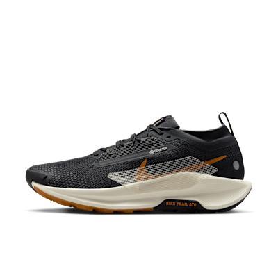 Nike Men's Pegasus Trail 5 GORE-TEX Waterproof Trail Running Shoes Product Image