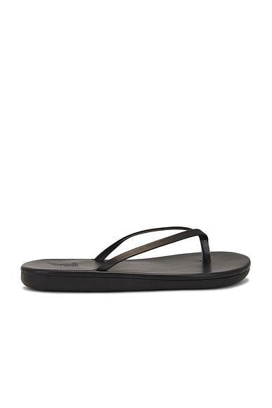 Saionara Flip Flop Product Image
