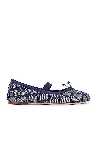 Luna Suede Ballerina Flats Product Image