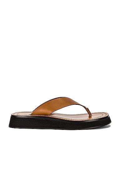 Ginza Flip-Flop Smooth Calfskin Sandals Product Image
