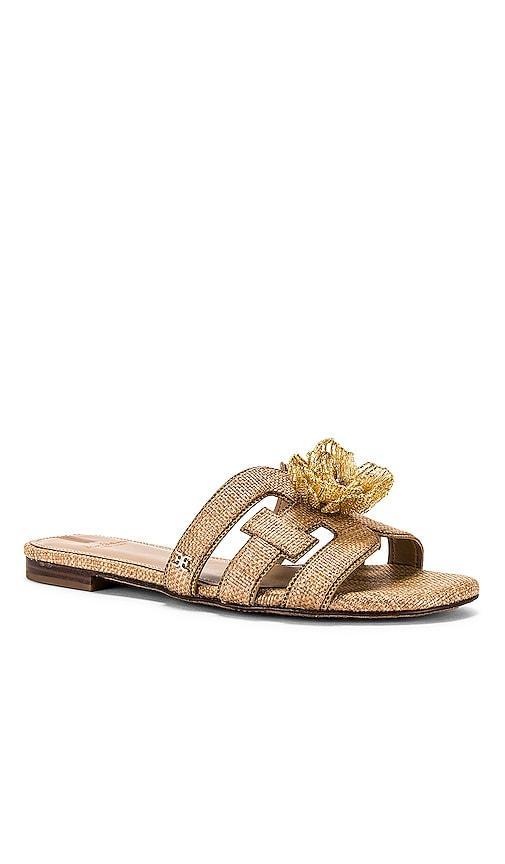 Bay Flora Sandal Sam Edelman Product Image
