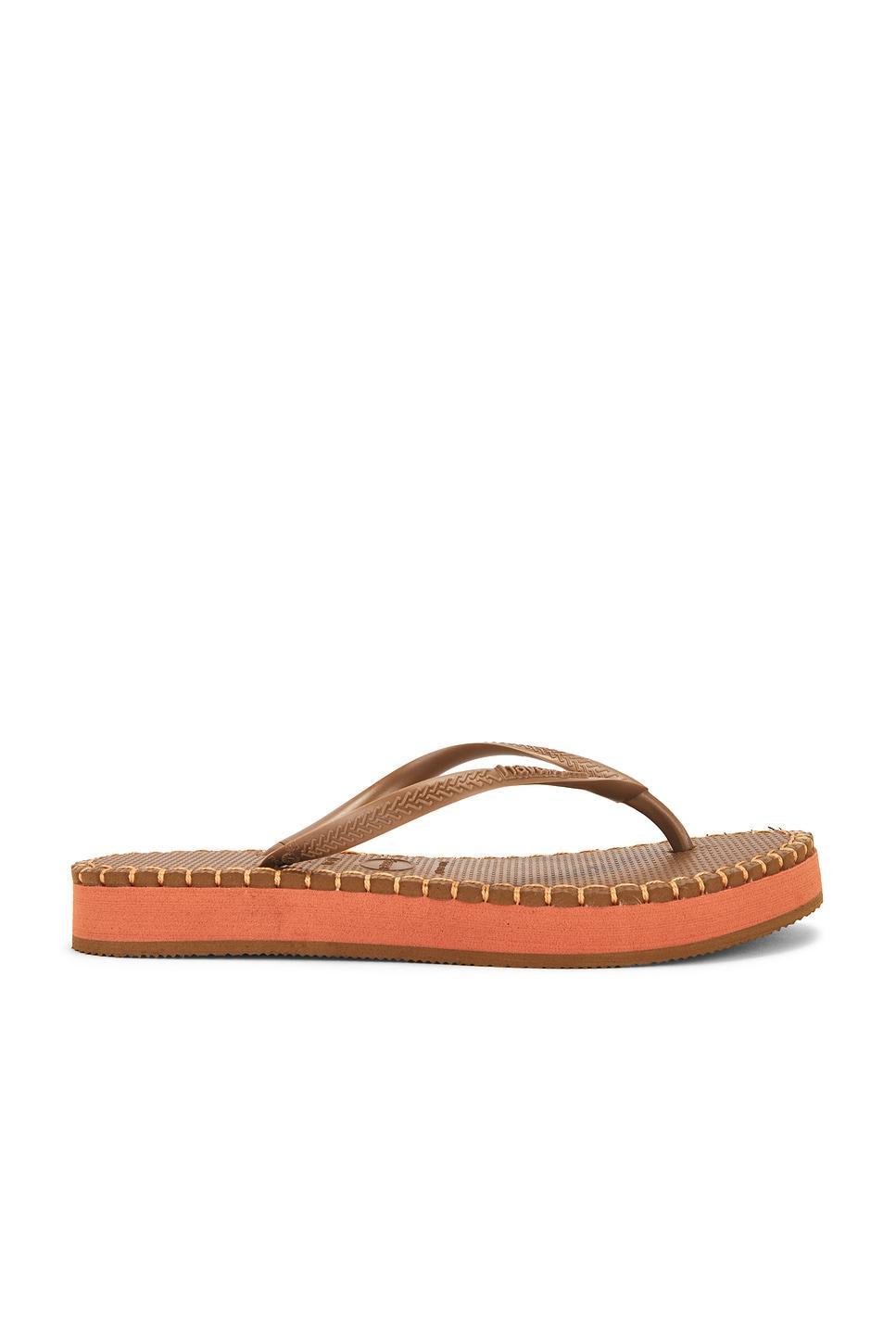 Slim Flatform Loop Flip Flop Havaianas Product Image