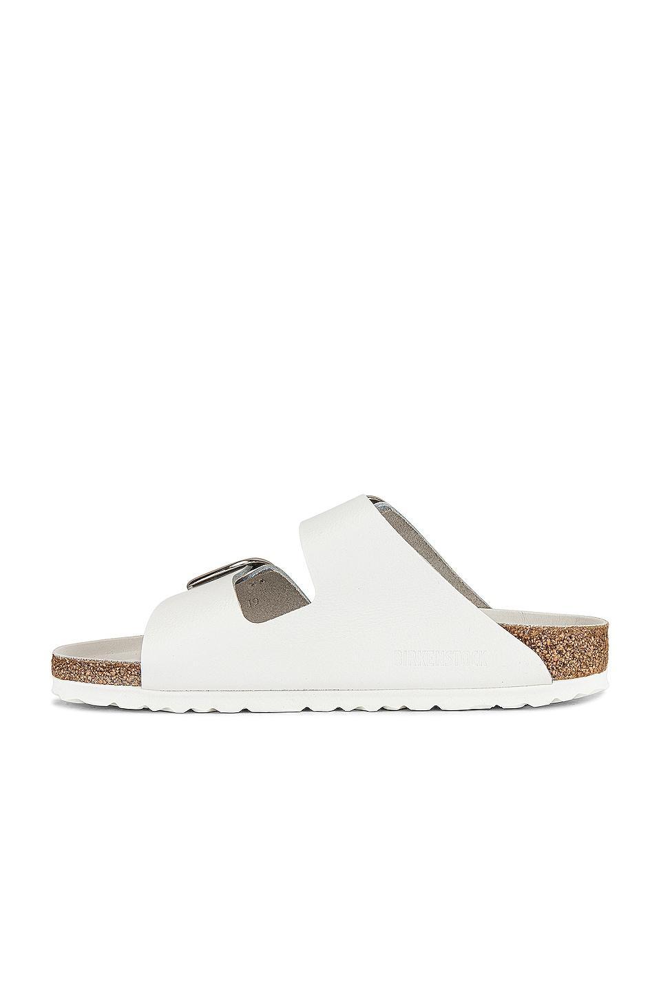 Arizona Big Buckle Sandal BIRKENSTOCK Product Image