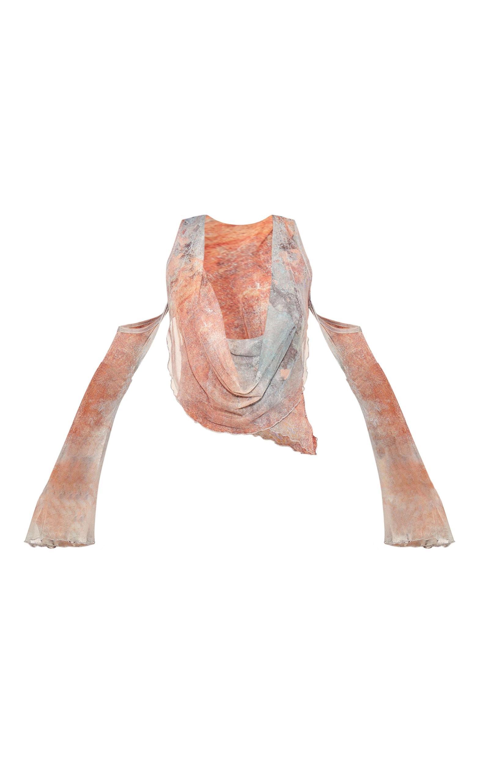 Brown Printed Mesh Cowl Neck Sleeve Detail Top Product Image