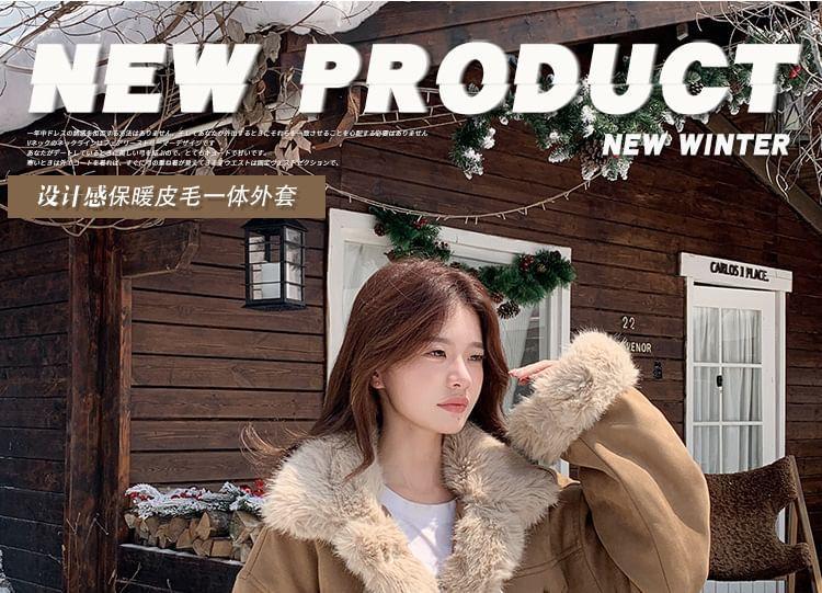 Collared Panel Faux Shearling Jacket Product Image