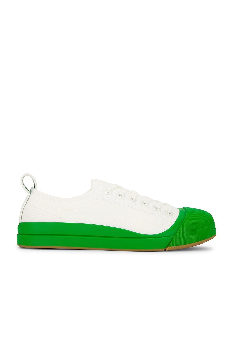 Bottega Veneta Vulcan Low Top Sneaker in White Product Image
