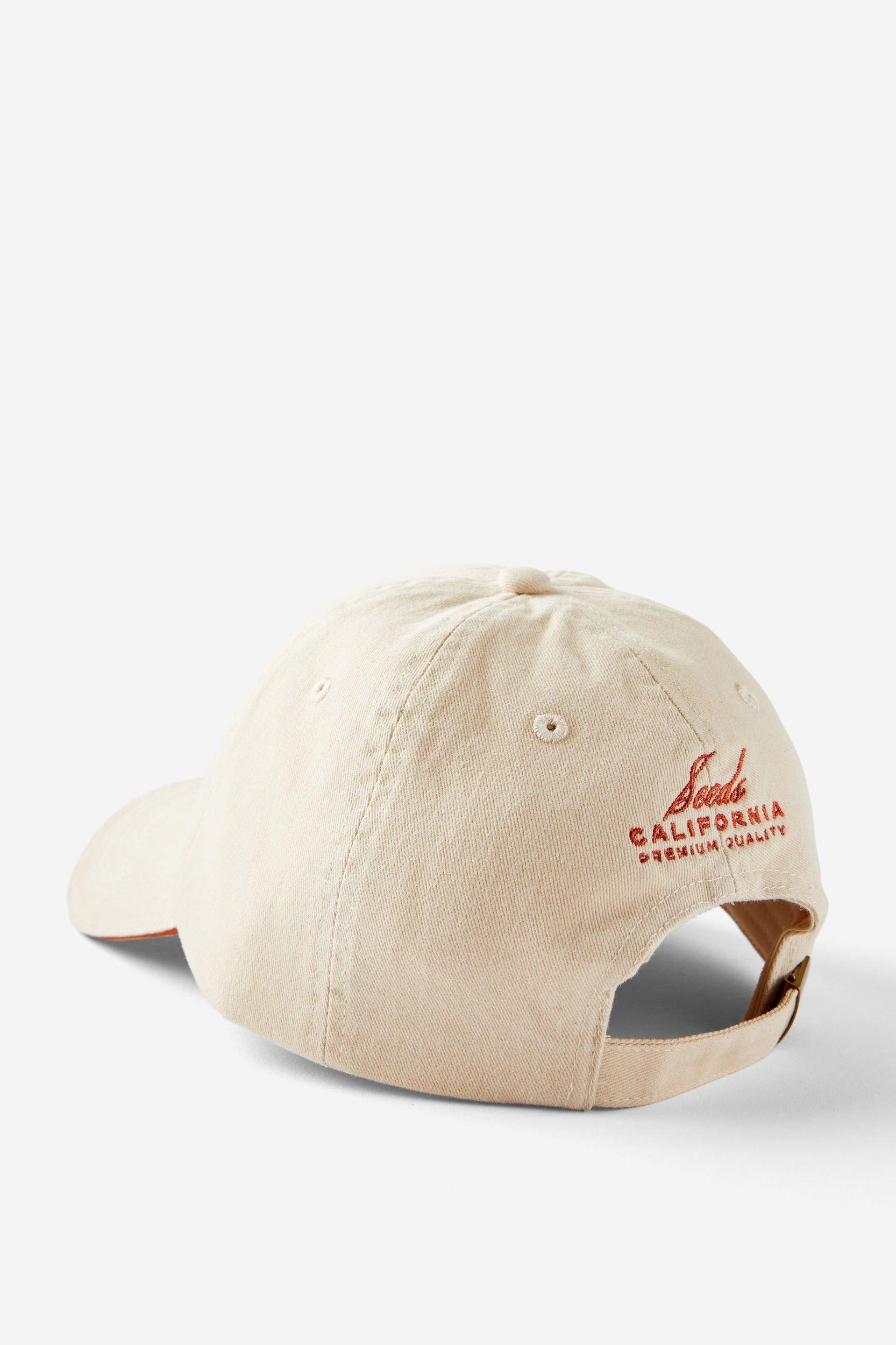 Classic Dad Cap Product Image