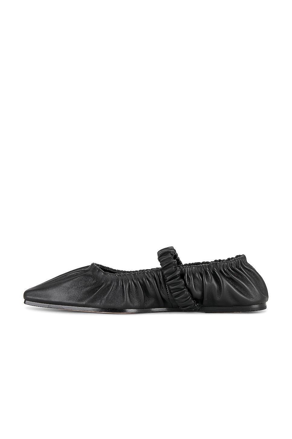 Zadie Ballet Flat Studio Amelia Product Image