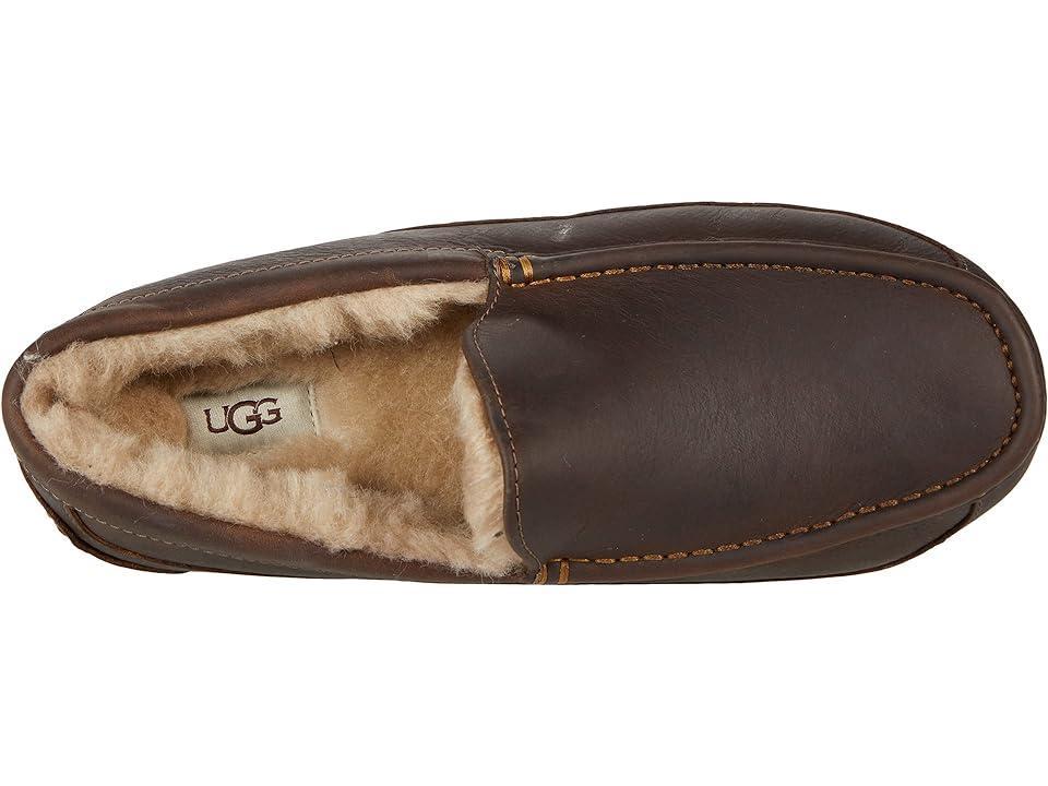 UGG Mens Ascot Leather Slip Product Image