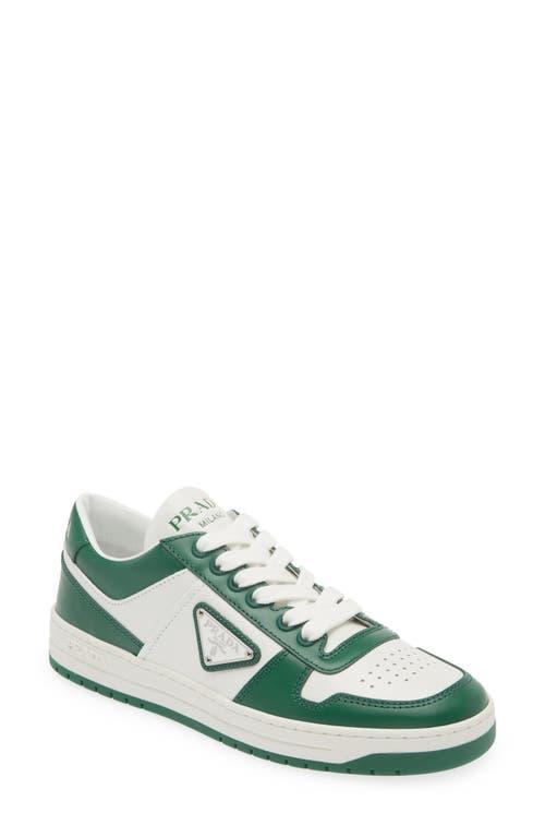 Mens Leopard Skel Low-Top Sneakers Product Image