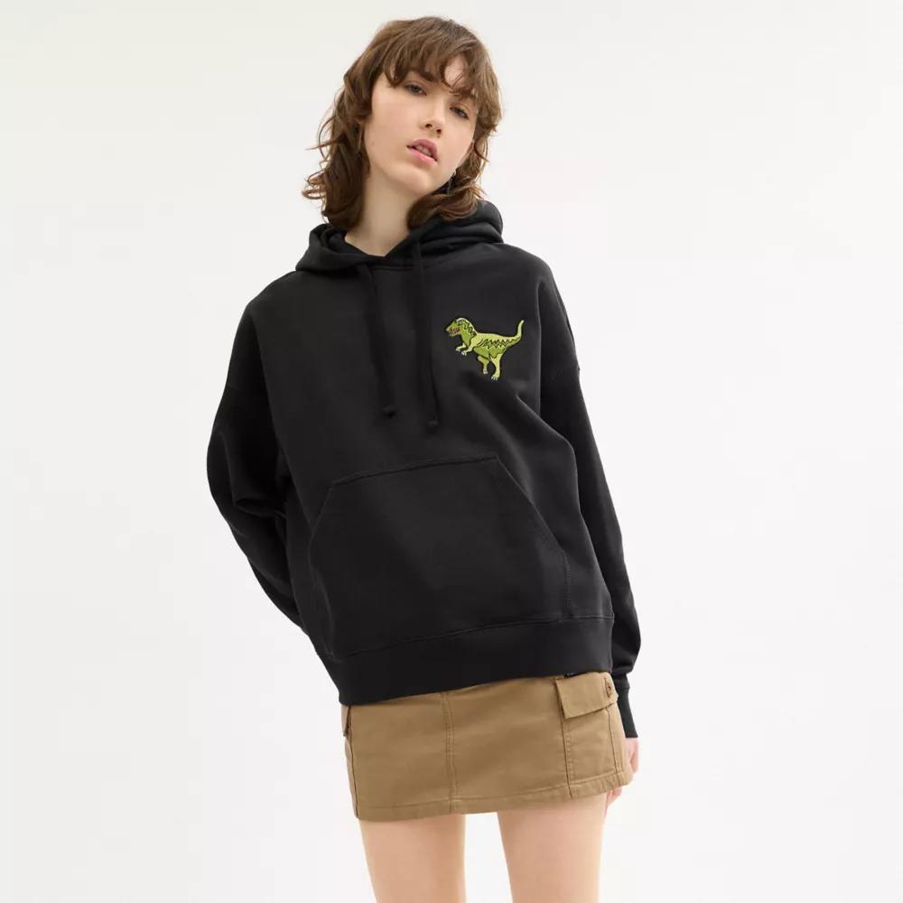 Rexy Hoodie Product Image