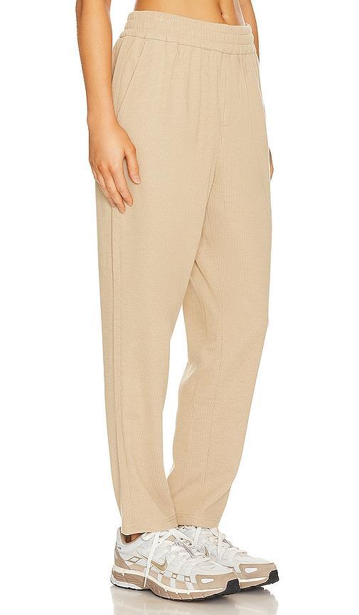 Ribbed Knit Pant WAO Product Image