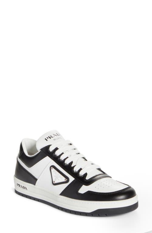 Mens Leopard Skel Low-Top Sneakers Product Image