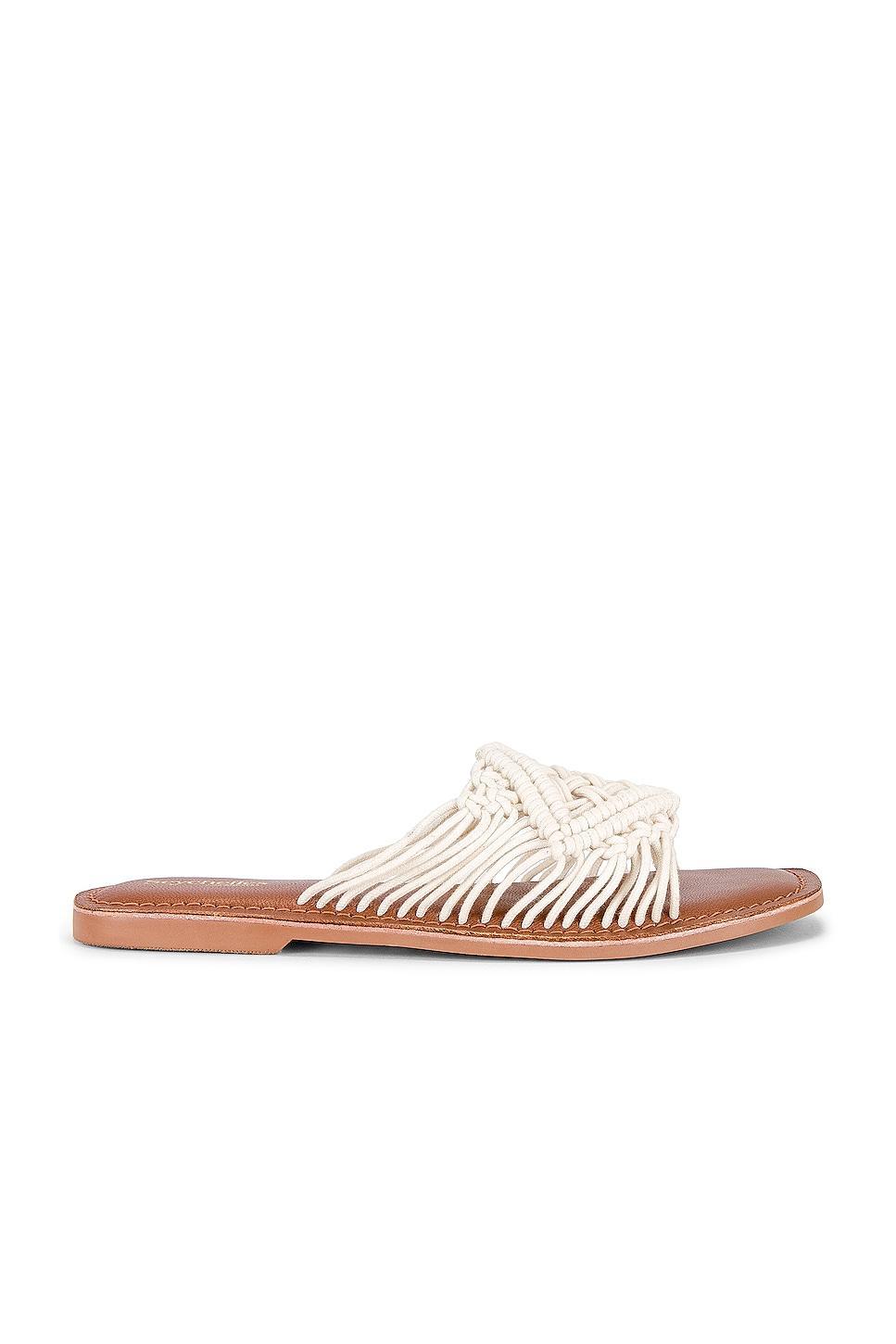 Mahogany Sandal Seychelles Product Image