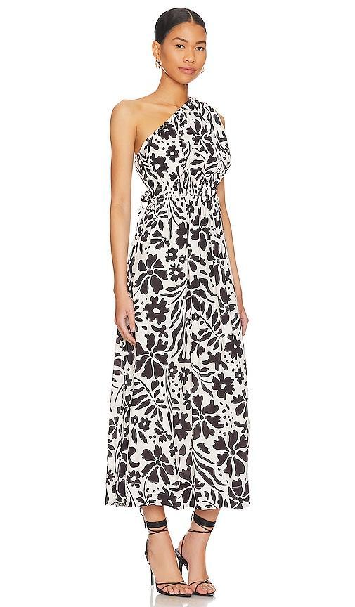 Lucila Midi Dress FAITHFULL THE BRAND Product Image
