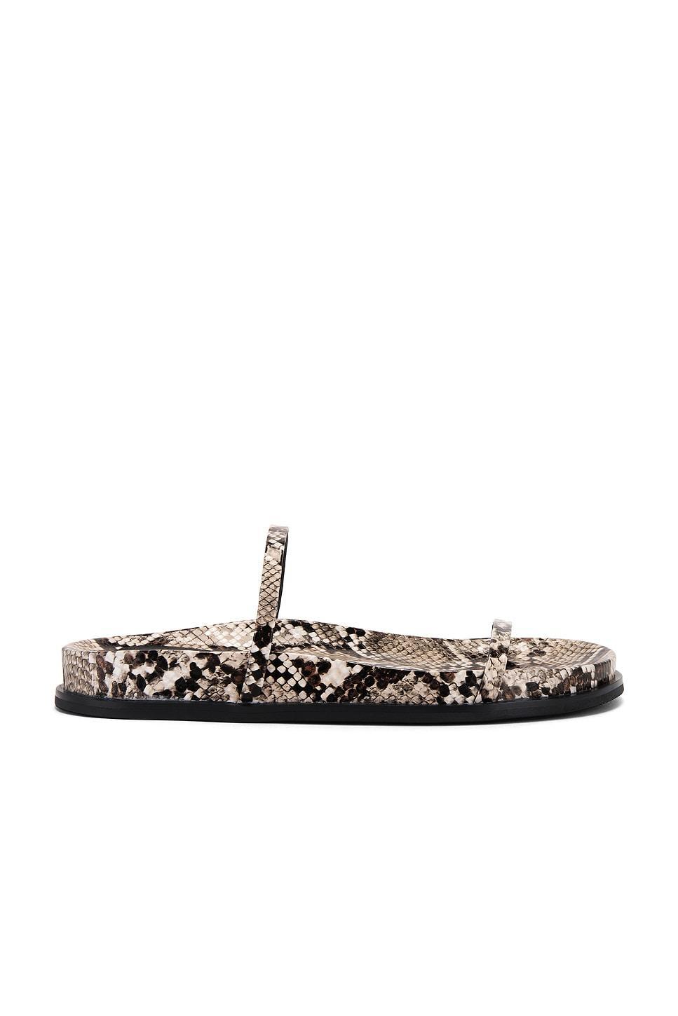 De Milo Sandal Jeffrey Campbell Product Image