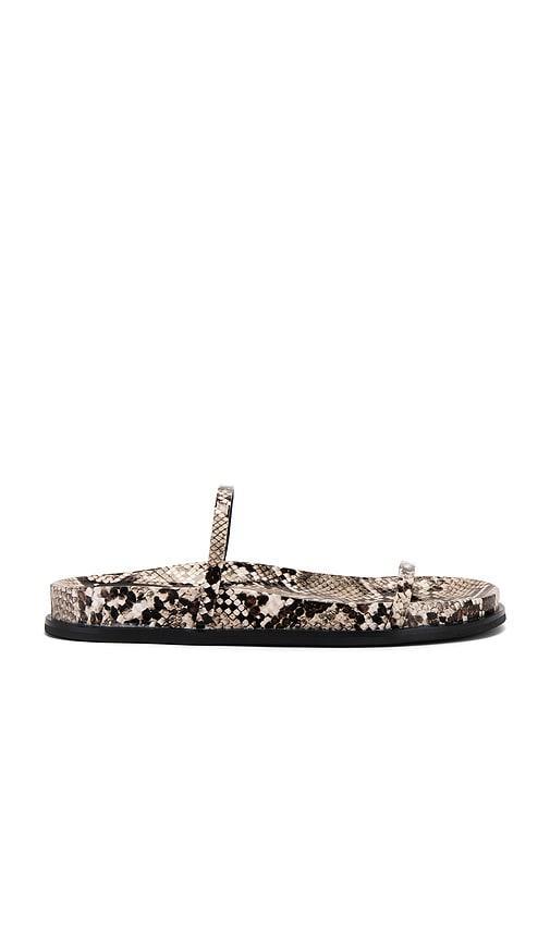 De Milo Sandal Jeffrey Campbell Product Image