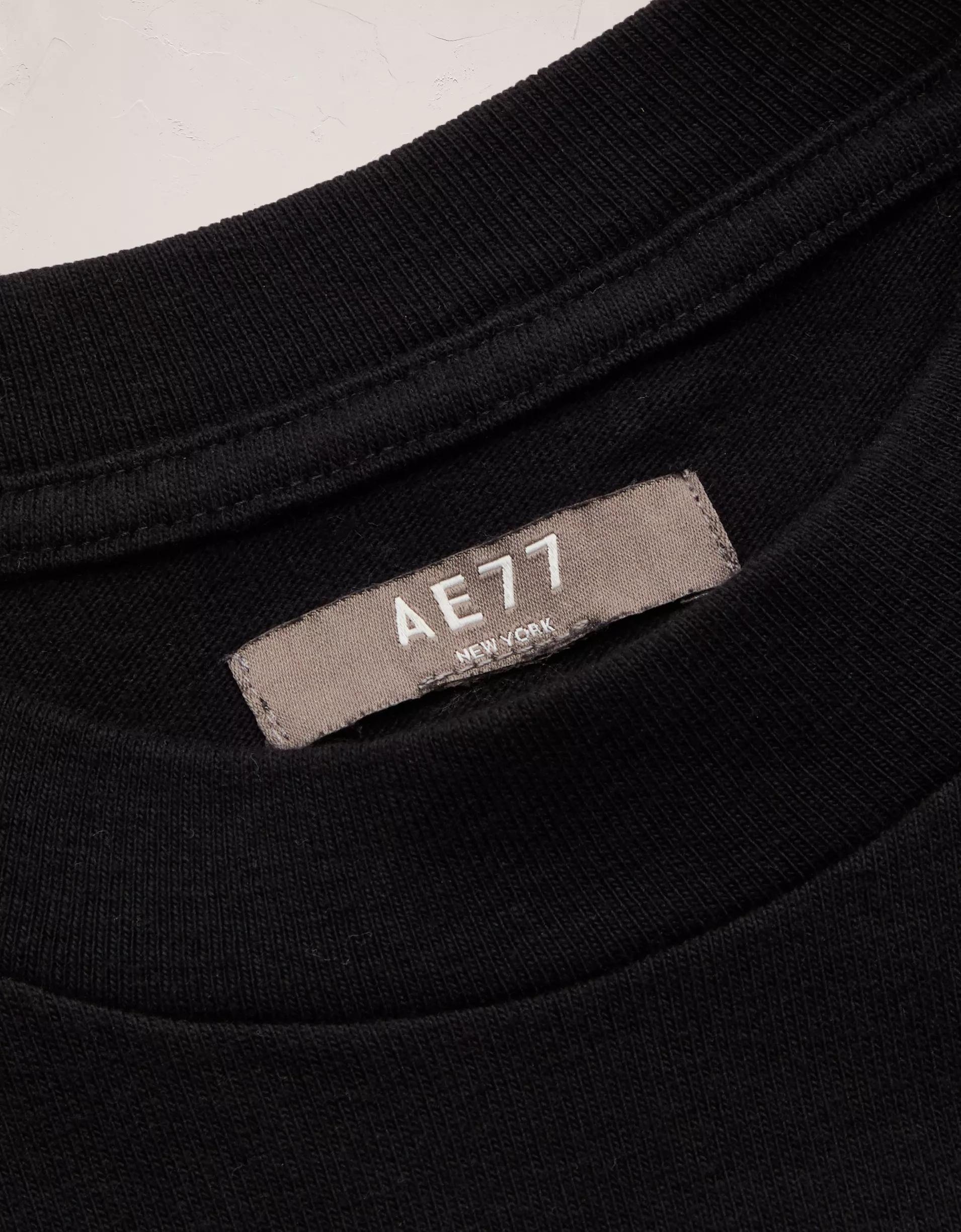 AE Premium Boxy T-Shirt Product Image