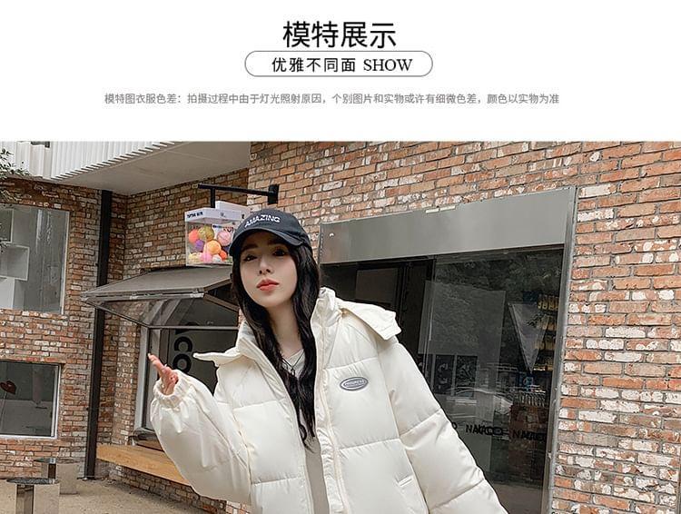 Plain Hooded Midi Zip Puffer Jacket Product Image