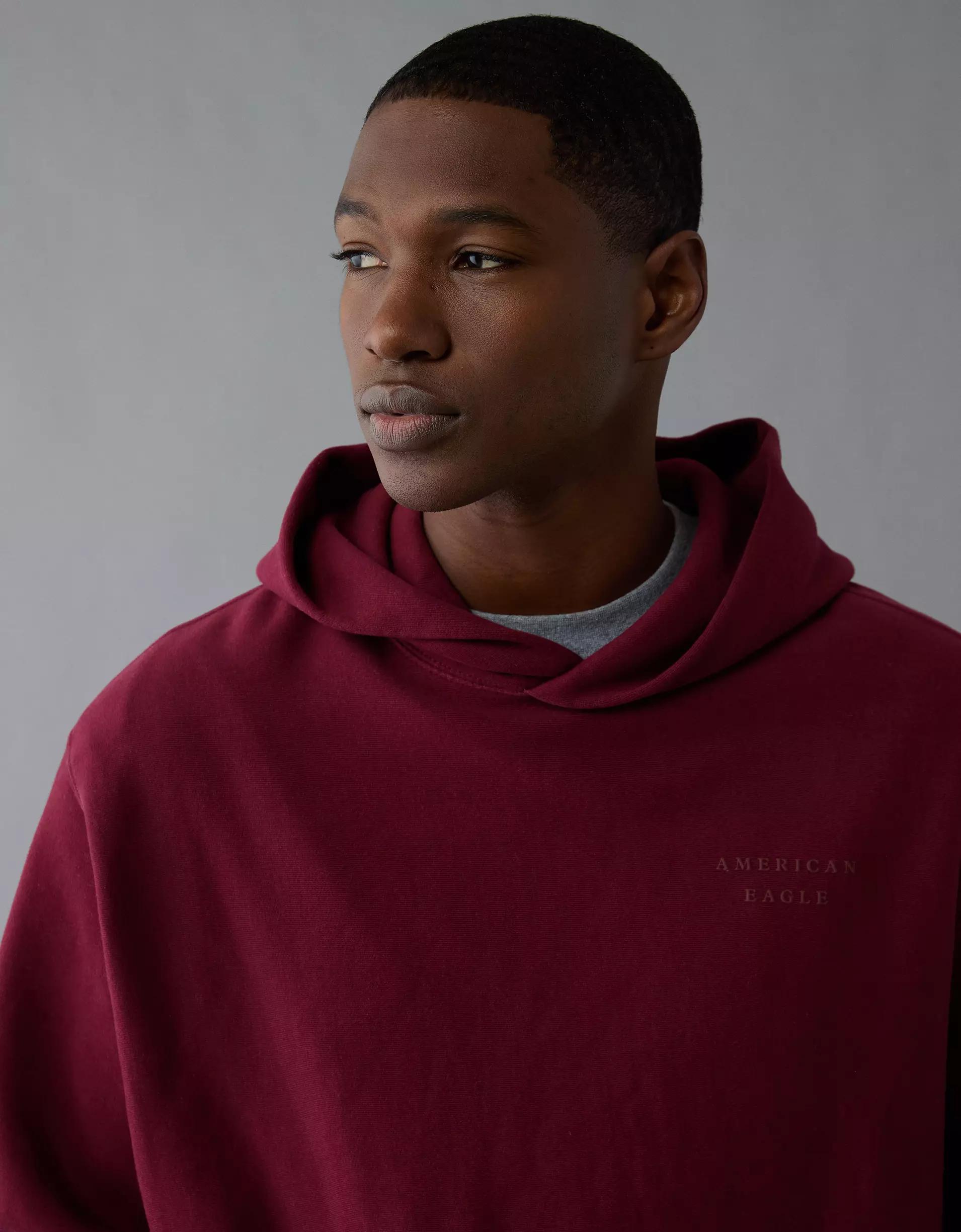 AE Laidback Luxe Heavyweight Graphic Hoodie Product Image