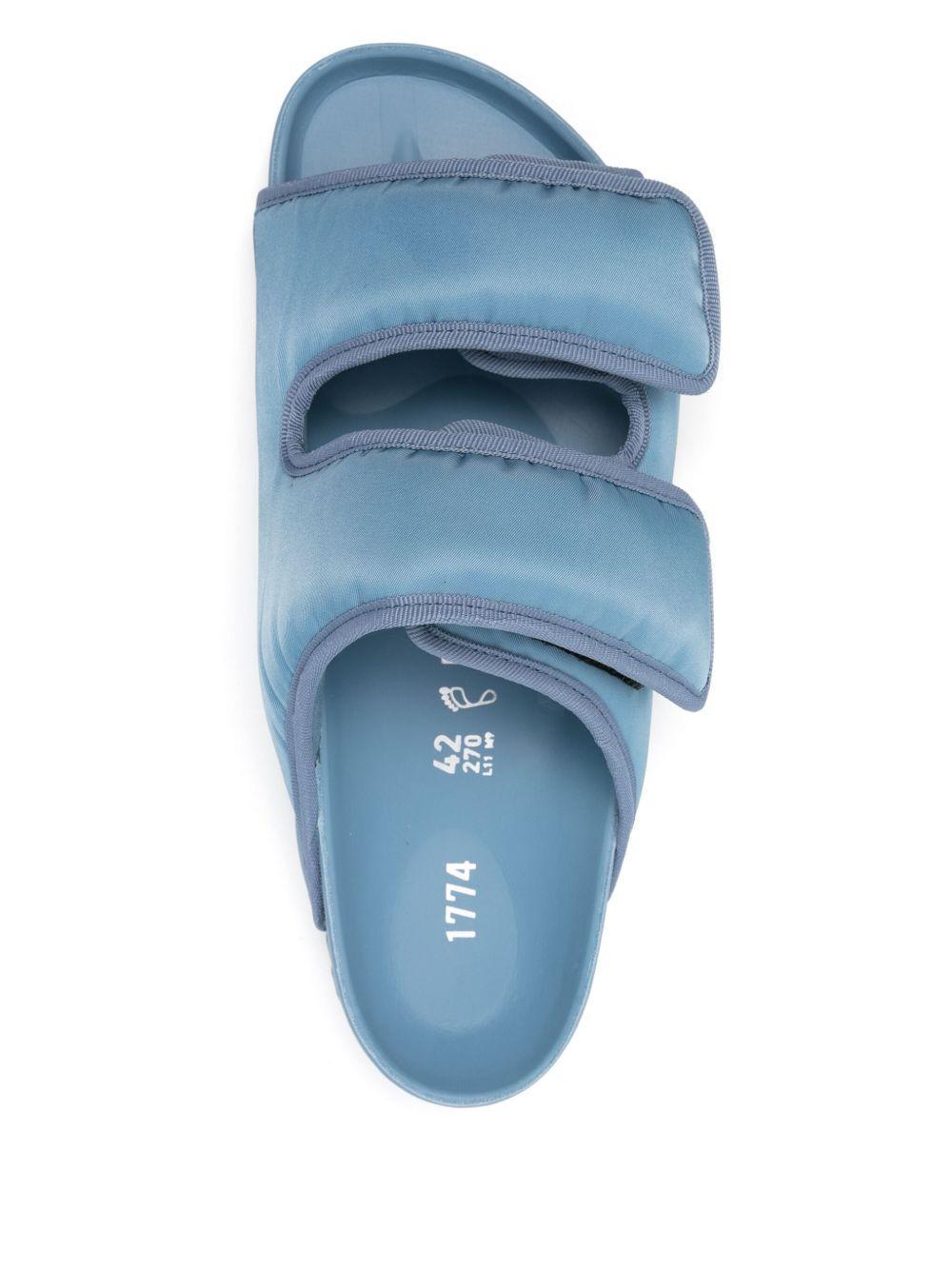 Arizona CosNy slides  Product Image