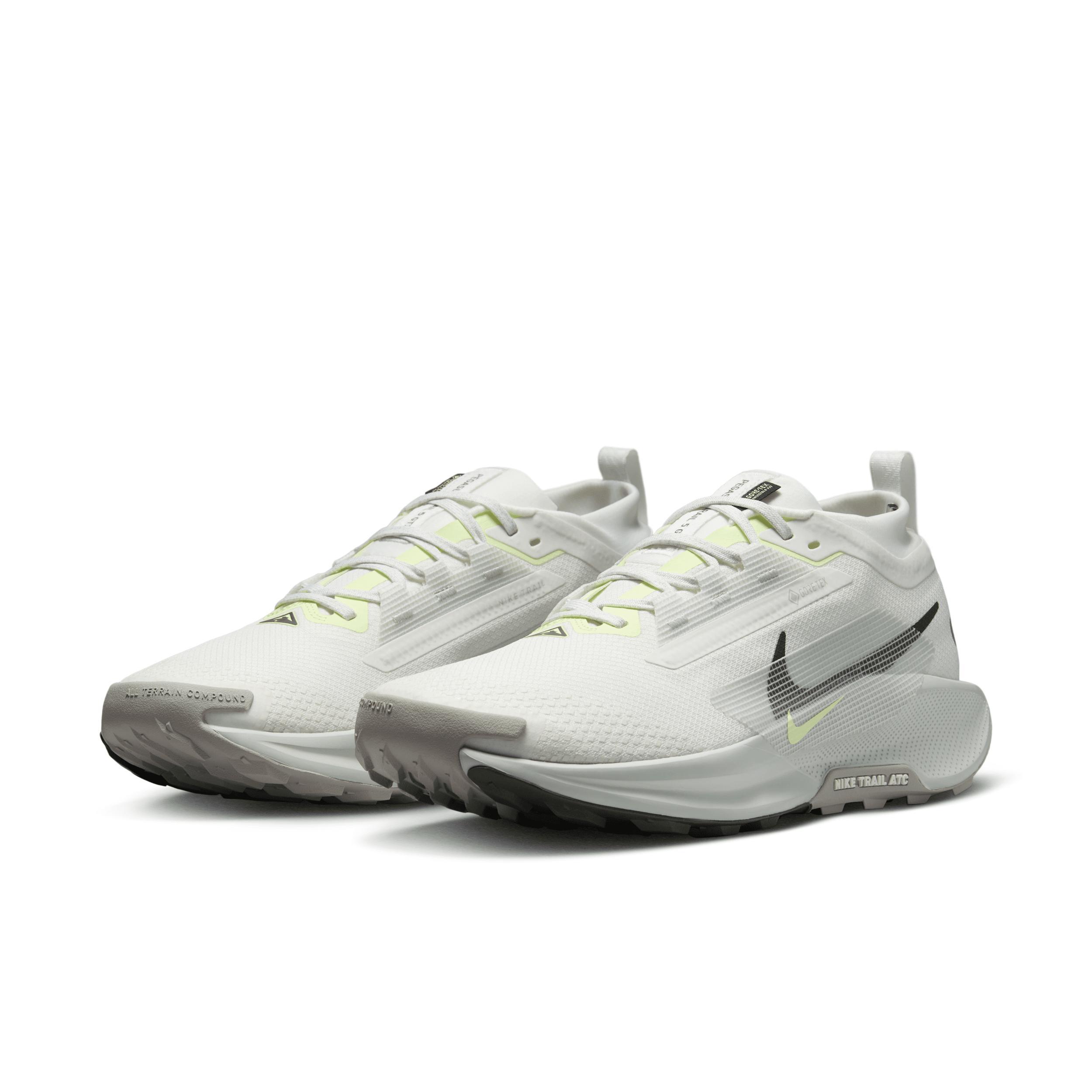 Nike Men's Pegasus Trail 5 GORE-TEX Waterproof Trail Running Shoes Product Image