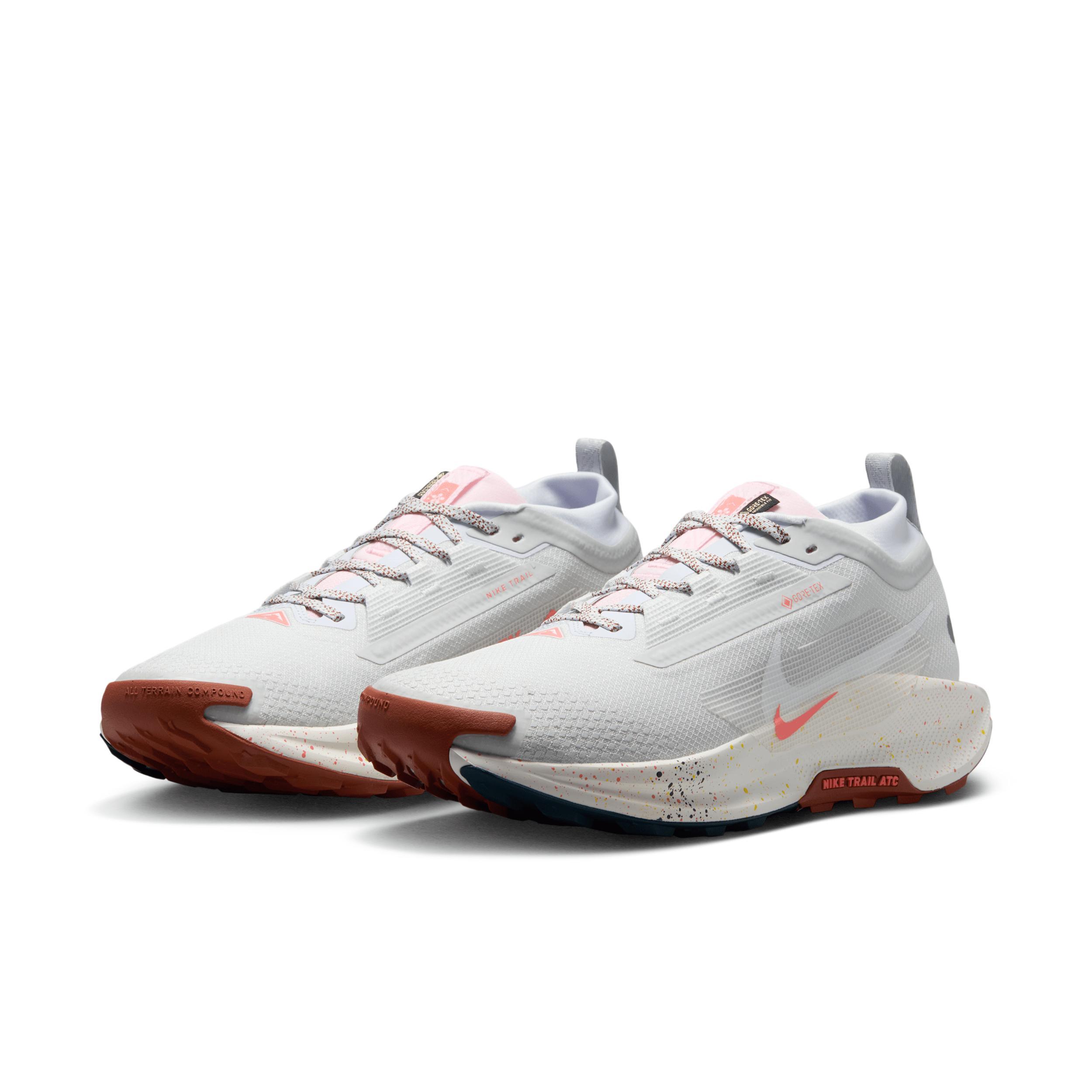 Nike Men's Pegasus Trail 5 GORE-TEX Waterproof Trail Running Shoes Product Image