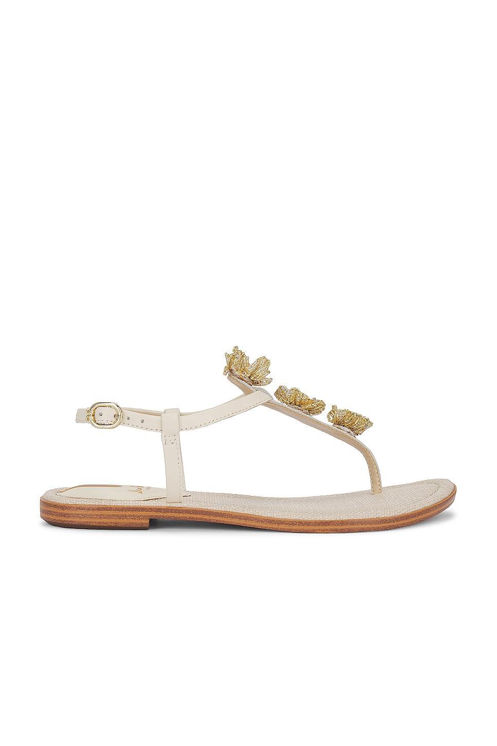 Gigi Flora Sandal Sam Edelman Product Image