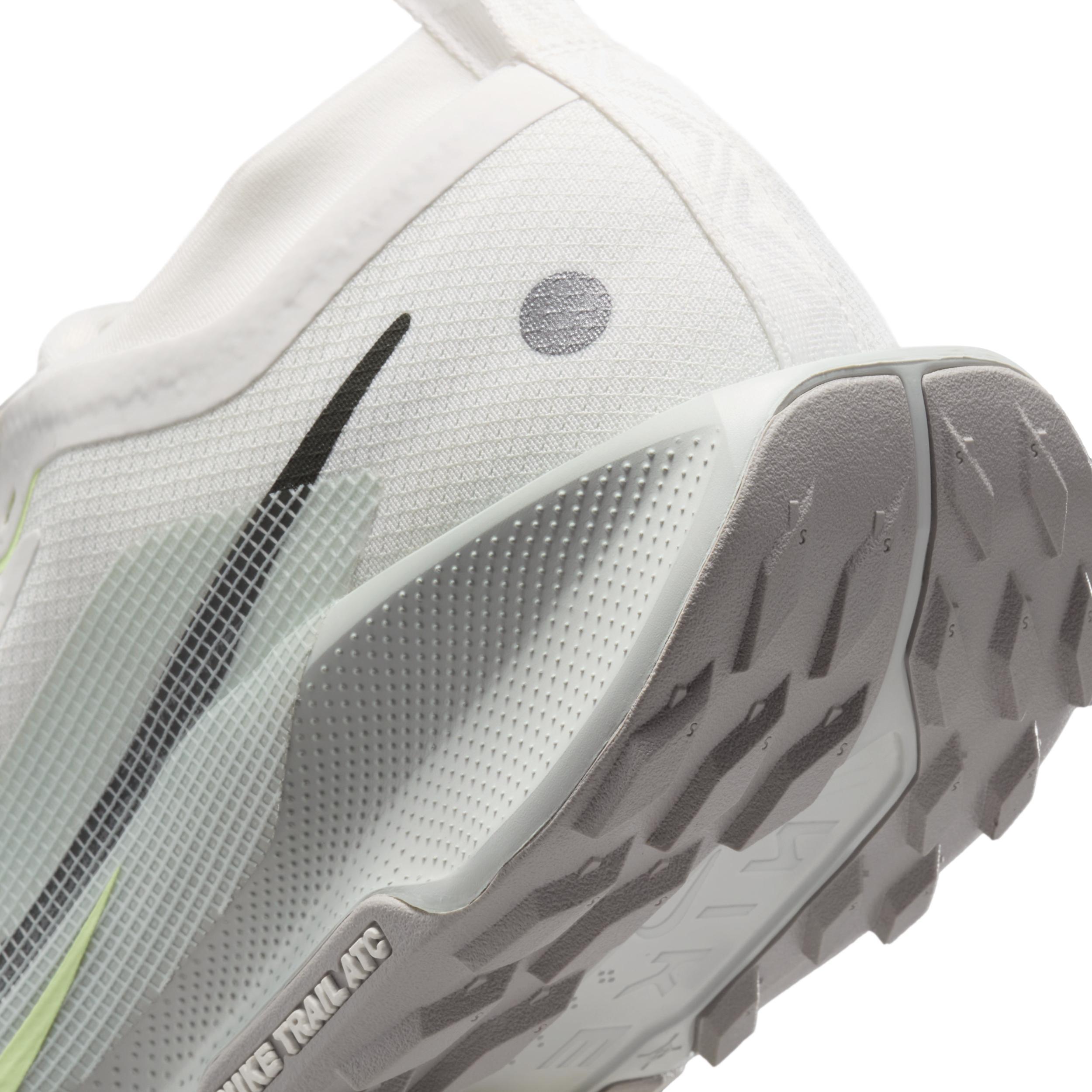 Nike Men's Pegasus Trail 5 GORE-TEX Waterproof Trail Running Shoes Product Image