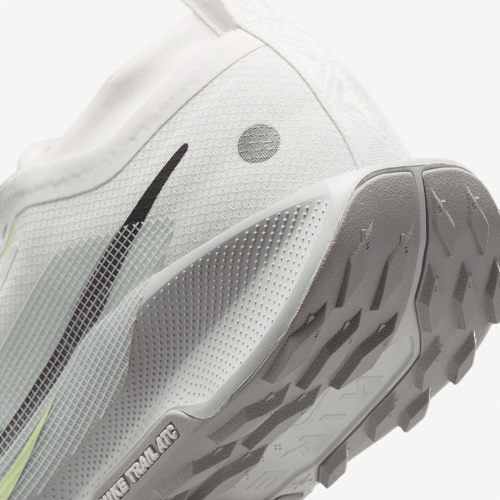 Nike Men's Pegasus Trail 5 GORE-TEX Waterproof Trail Running Shoes Product Image