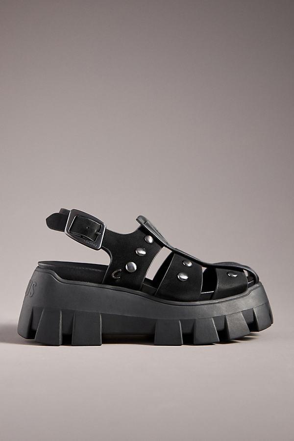 Circus NY by Sam Edelman Addison Women's Sandals Product Image