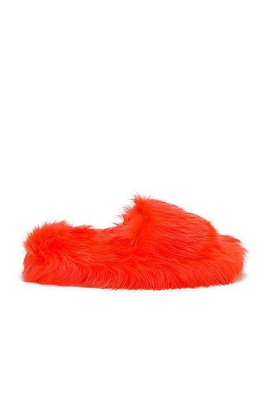 Bottega Veneta Shearling Resort Slides in Tangerine Product Image