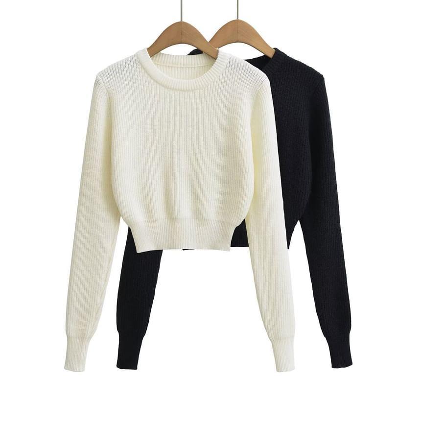 Crew Neck Plain Ribbed Knit Crop Sweater Product Image