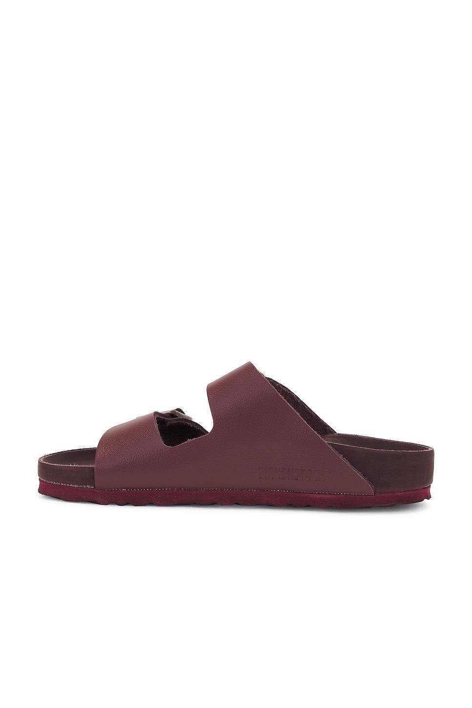 Arizona Exquisite Sandal Product Image