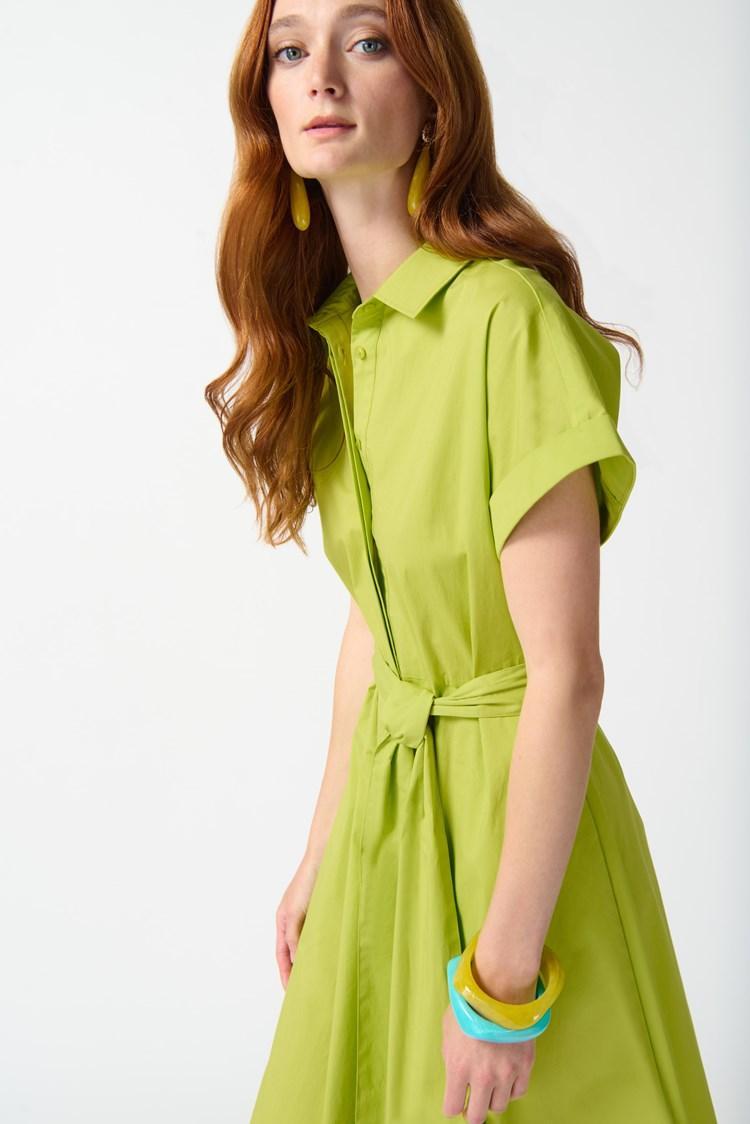 Woven Fit and Flare Shirt Dress Product Image