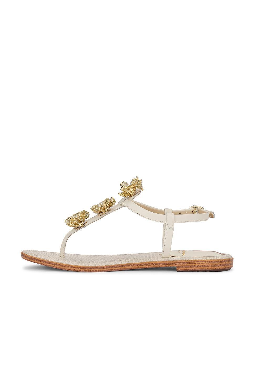Gigi Flora Sandal Sam Edelman Product Image
