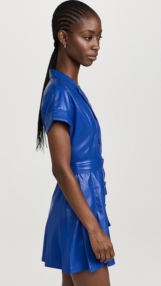 alice + olivia Shirley Vegan Leather Pleated Mini Shirt Dress | Shopbop Product Image