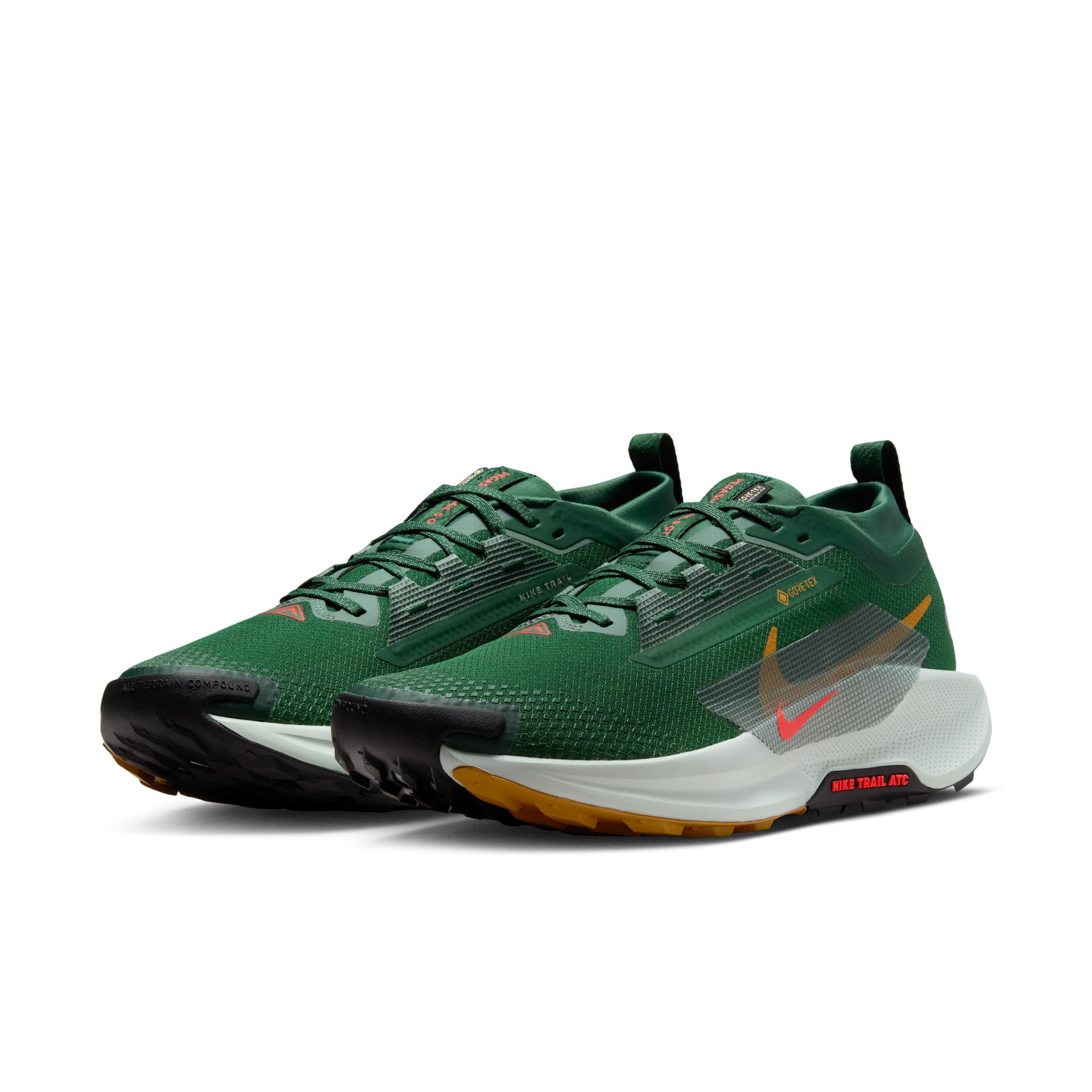 Nike Men's Pegasus Trail 5 GORE-TEX Waterproof Trail Running Shoes Product Image