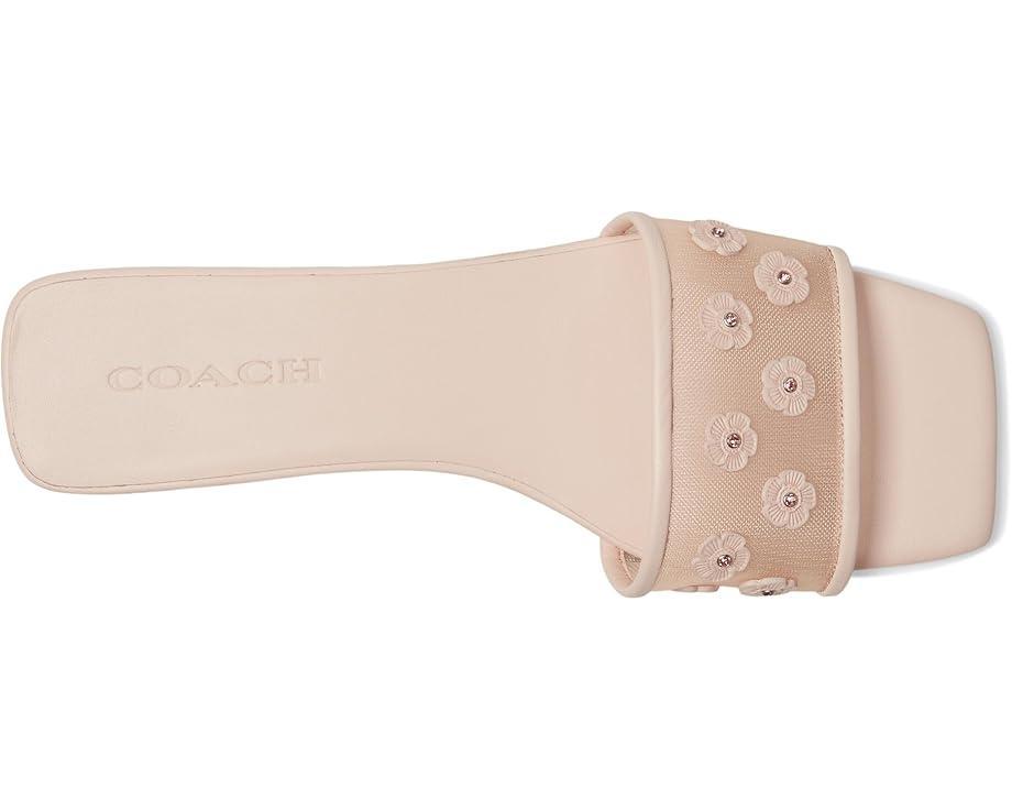 Sculpted C Sandals Product Image