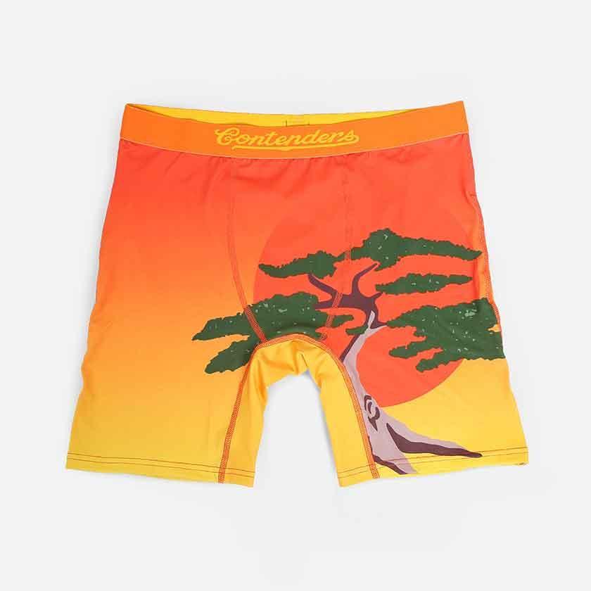 Contenders Clothing Karate Kid Bonsai Men's Brief Male Product Image