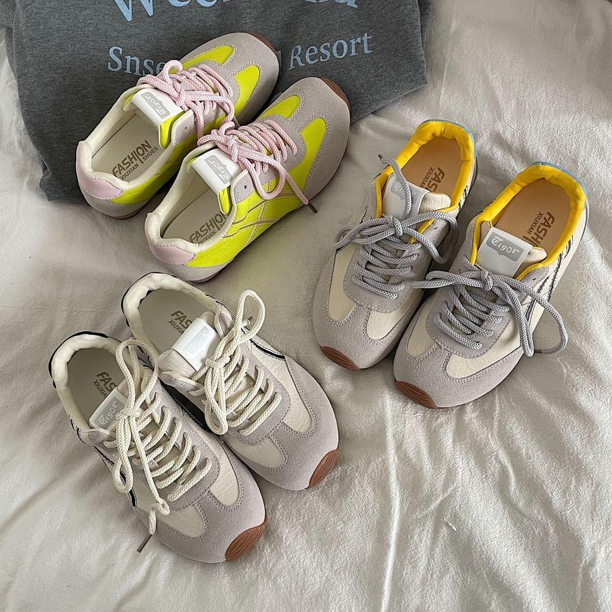 Color Block Lace-Up Sneakers Product Image
