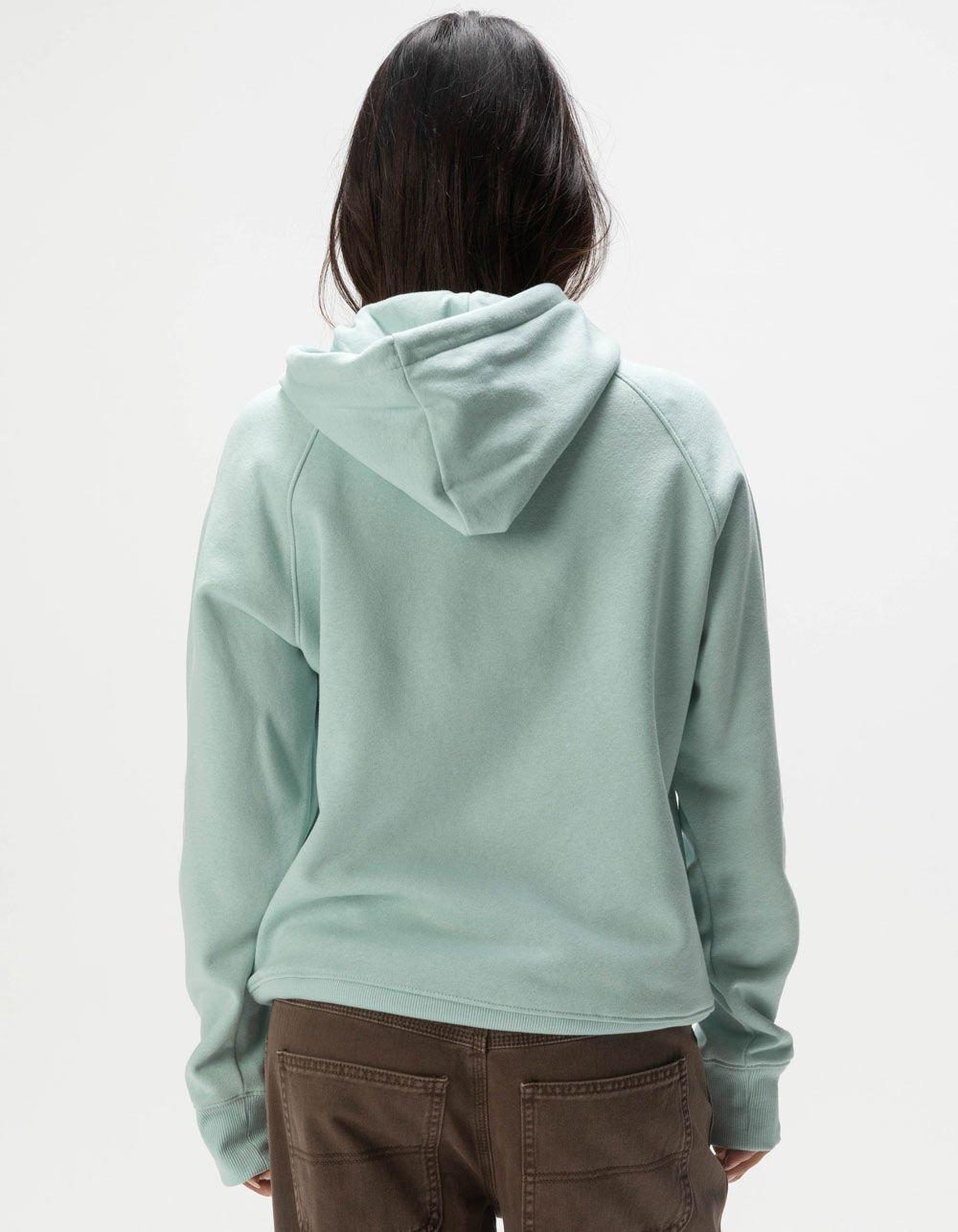 THE NORTH FACE Evolution Womens Hoodie - BROWN Product Image