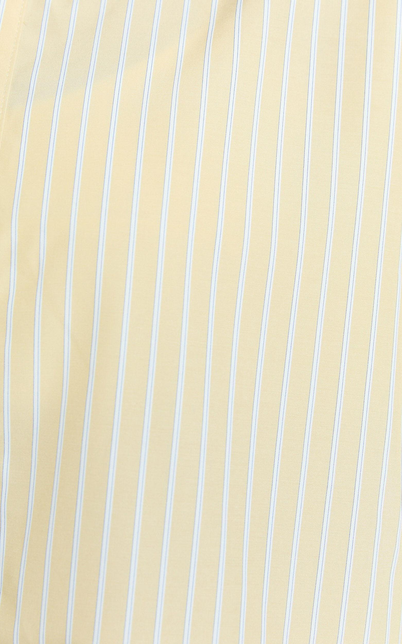 Terah Shirt - Button Up Shirt in Lemon Stripe Product Image