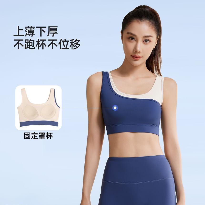 Set: Two Tone Sports Bra + High Waist Plain Drawstring Yoga Shorts Product Image